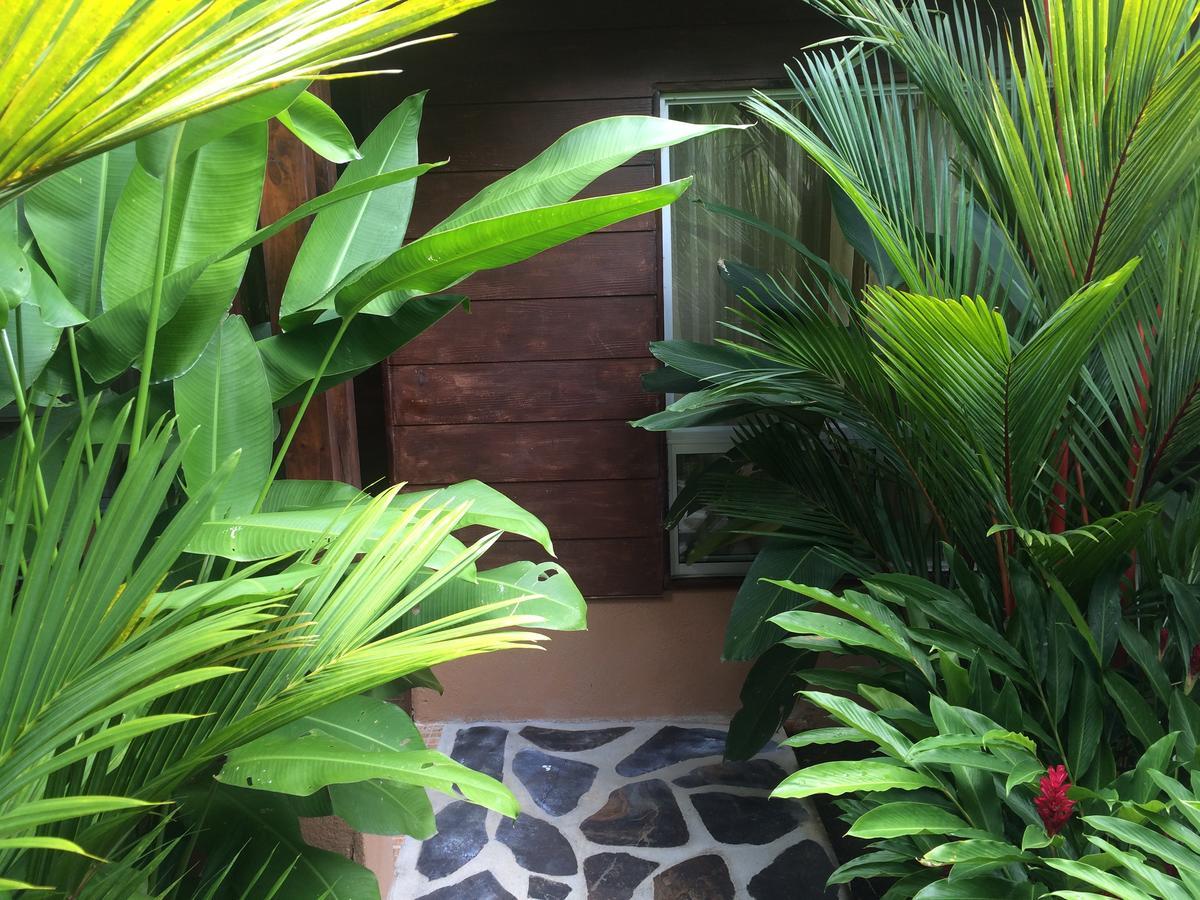Mussaenda, Arenal 3* La Fortuna
