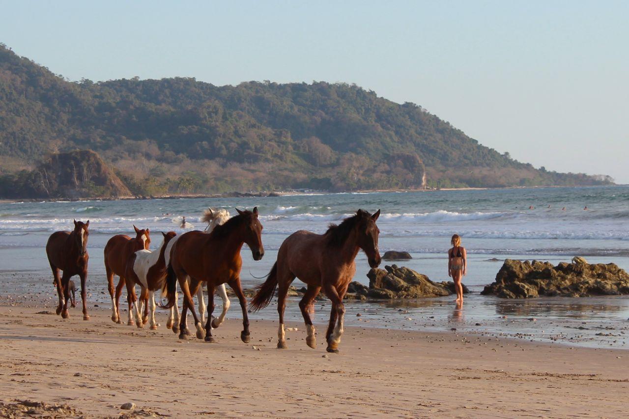 Toritos Guest * Santiago (Puntarenas)