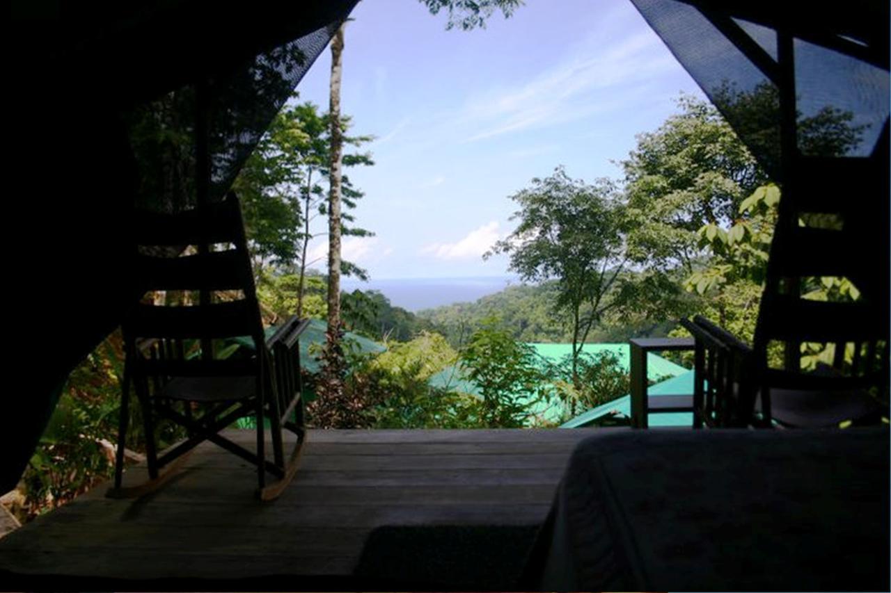 Luna Lodge Carate