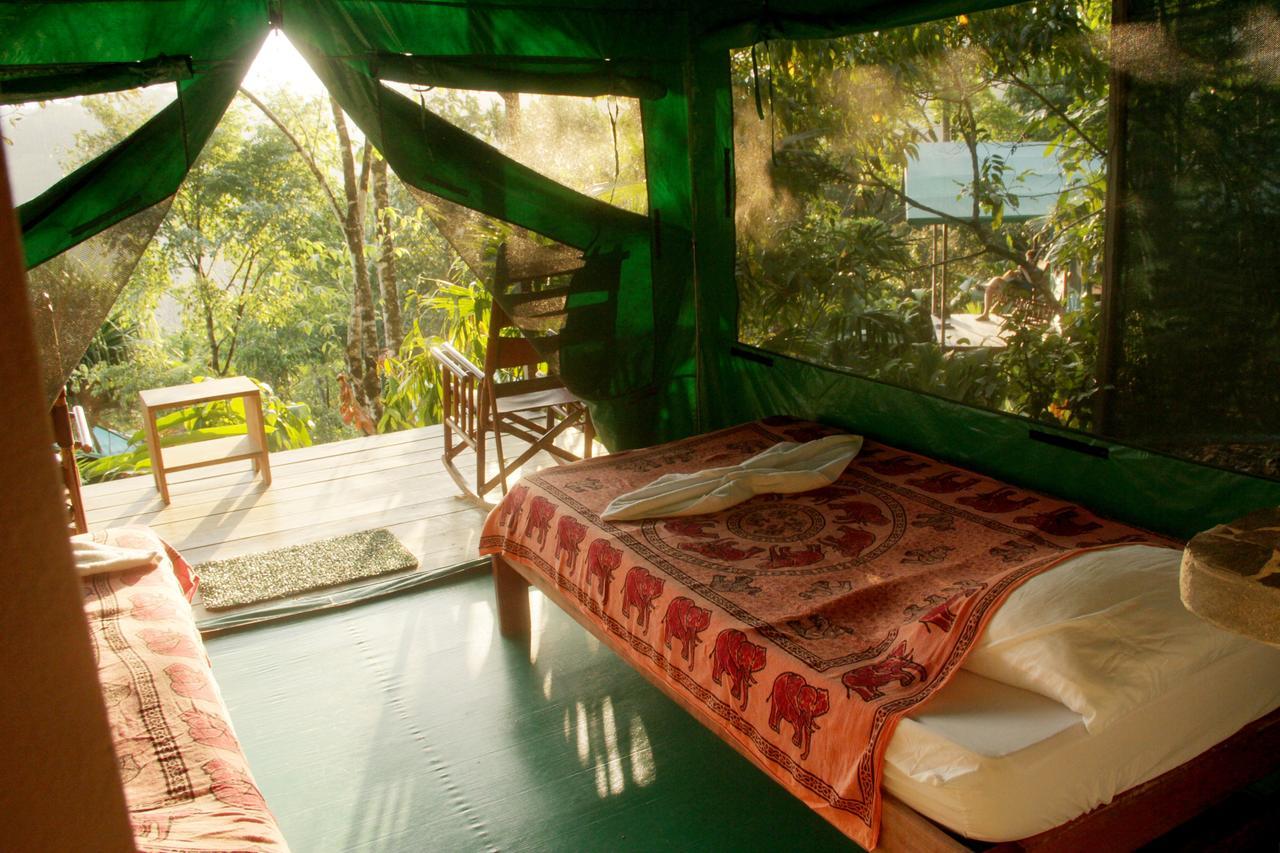 Luna Lodge Carate