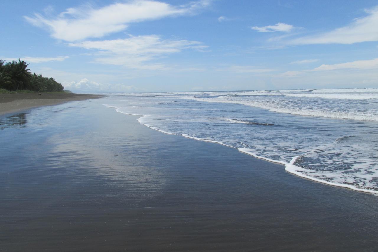 Hotel Delfin Playa Bejuco
