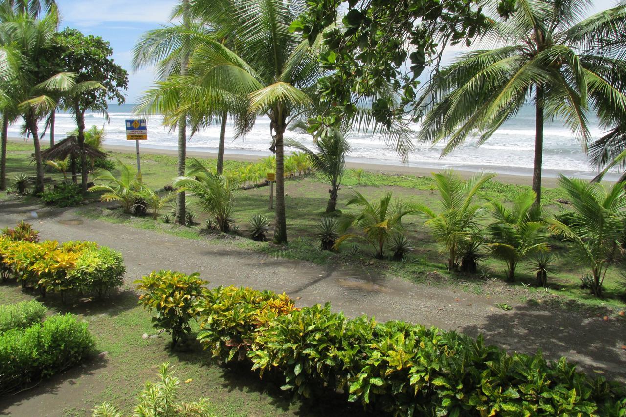Hotel Delfin Playa Bejuco 3*