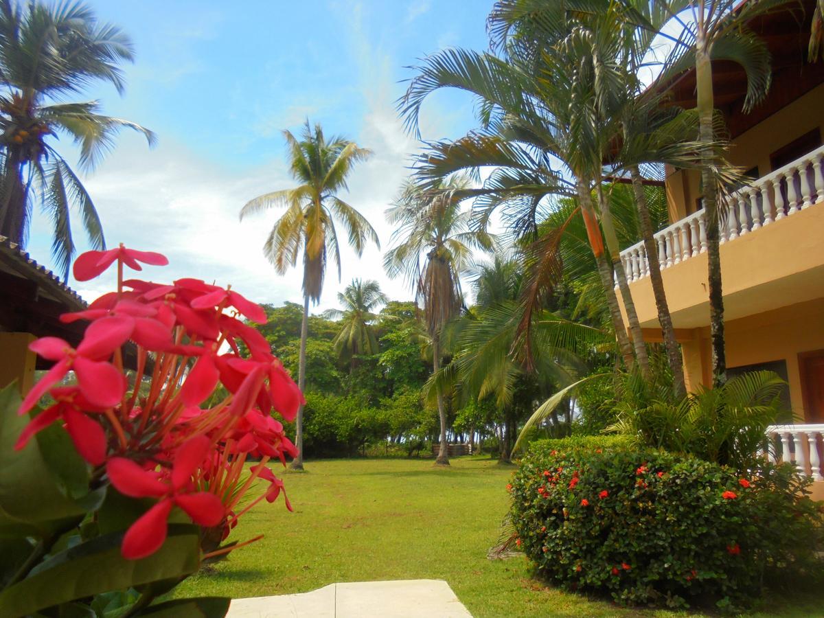 Hotel Delfin Playa Bejuco 3*
