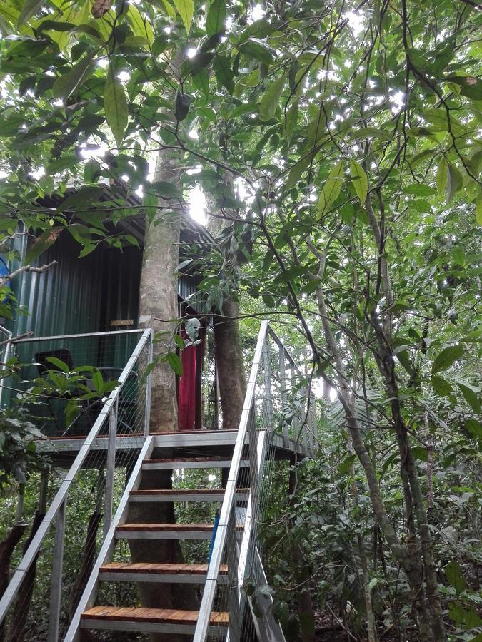 Bed & Breakfast The Tree Monteverde
