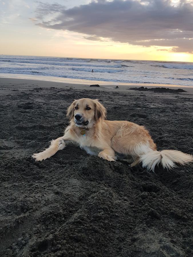 Casa Ideal Para Familia Y Su Mascota En Bahia De Los Piratas Holiday home