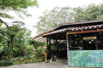 Kokoro Mineral Hot Springs La Fortuna
