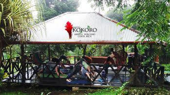 Kokoro Mineral Hot Springs Hotel