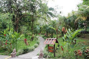 Kokoro Mineral Hot Springs Hotel La Fortuna