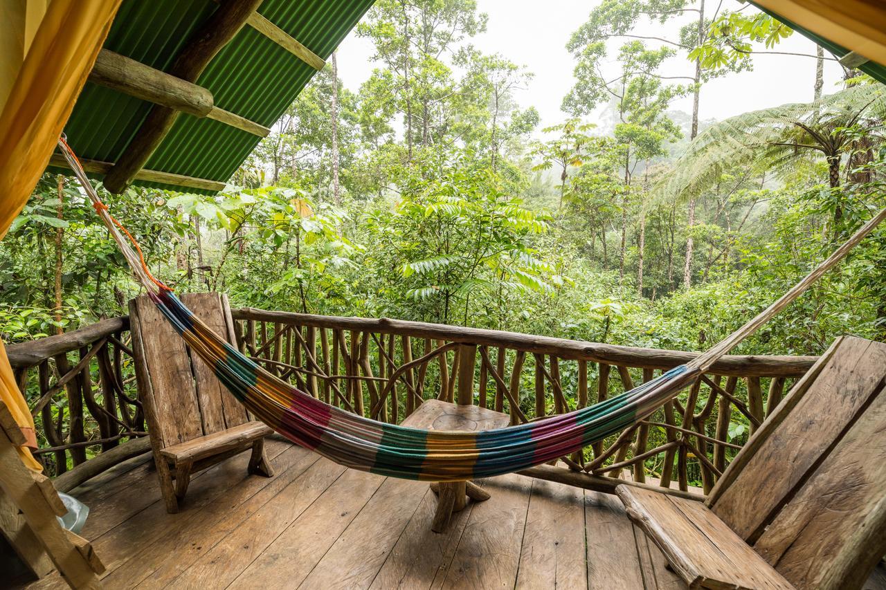 La Tigra Rainforest Lodge La Fortuna