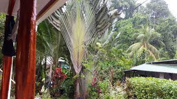 Cabinas Casa Miriam Hotel Drake Bay
