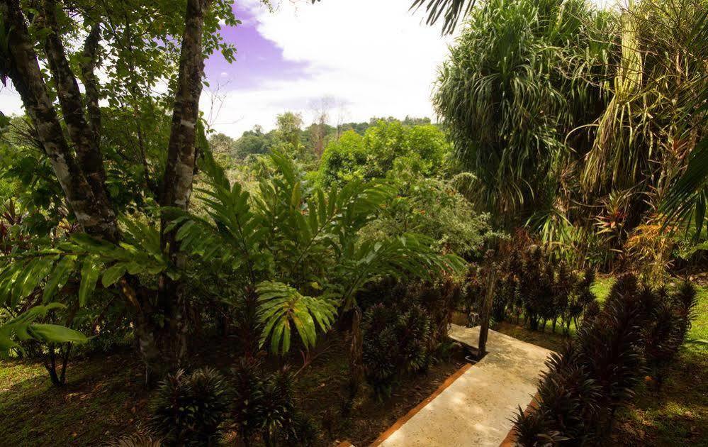 Hotel Rancho Corcovado Drake Bay
