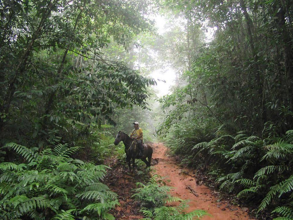Rancho Corcovado
