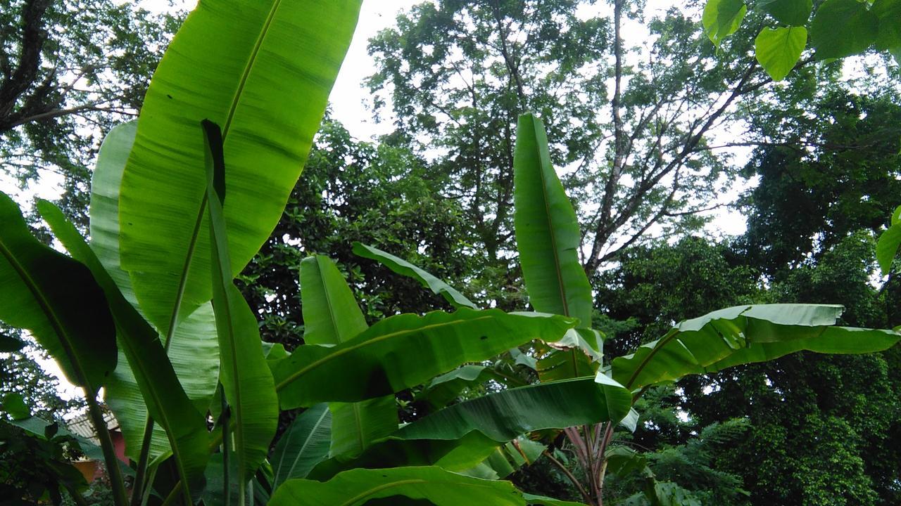 Lodge Ecopacific Lodge Santa Teresa *