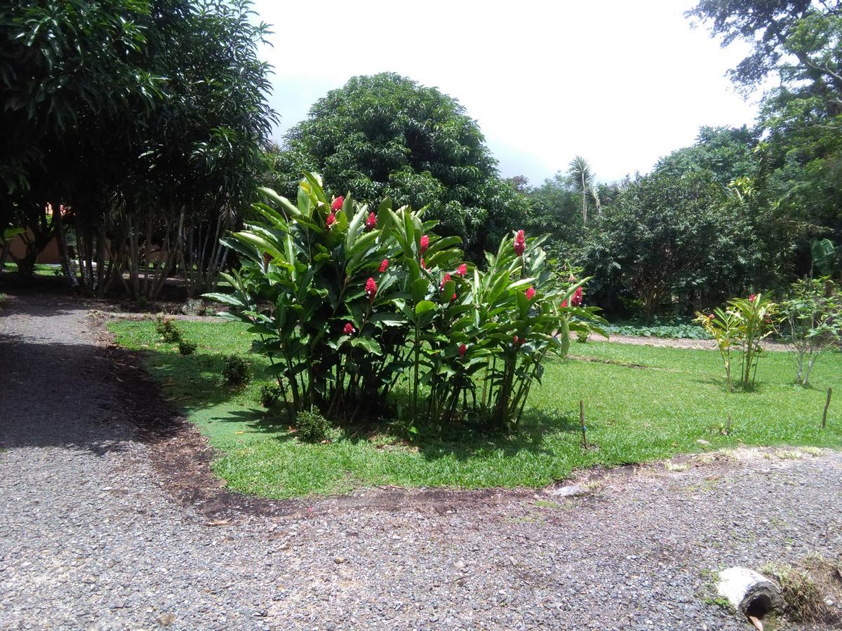 Paraiso Volcano Lodge Guayabo (Guanacaste)