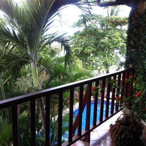 The Backyard