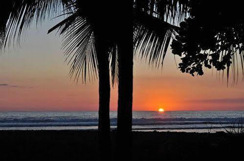 Copacabana And (adults Only) Jaco