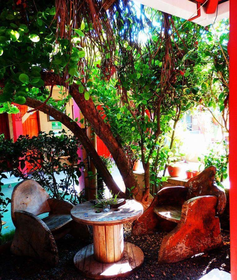 El Jardin 2*