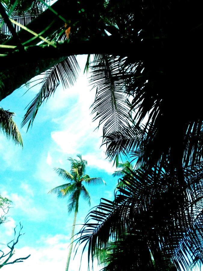 El Jardin 2* Jaco