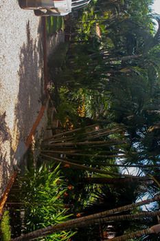 Vista Hermosa Bed & Breakfast 4*