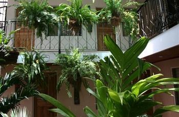 Casa Lima San Jose (San Jose)