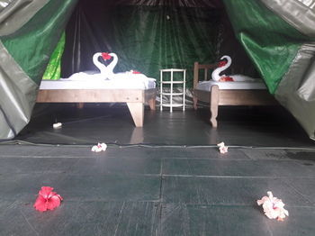 Corcovado Adventures Tent Camp *