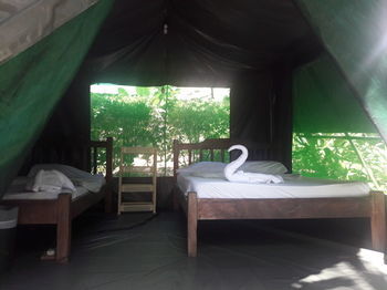 Corcovado Adventures Tent Camp Hotel
