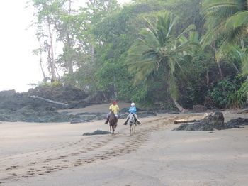 Hotel Corcovado Adventures Tent Camp