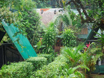 Corcovado Adventures Tent Camp Hotel Ciudad Cortes