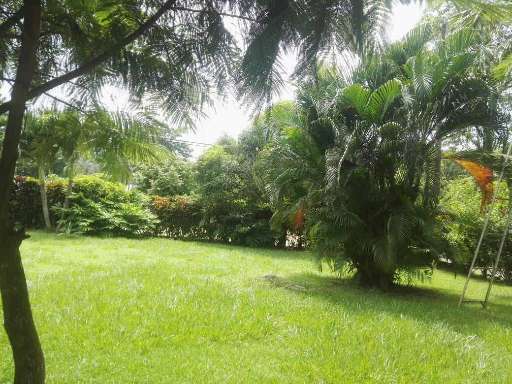 Inn Cabinas Las Gemelas Pavones (Puntarenas)