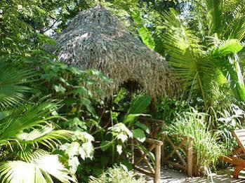 Hotel El Pequeno Gecko Samara