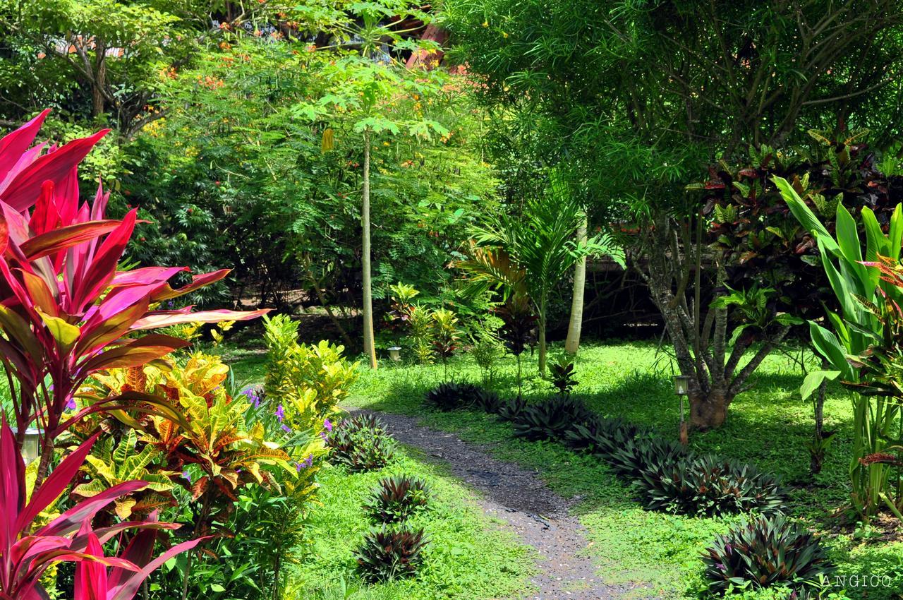 Don Jon's Surf And Yoga Lodge Playa Santa Teresa (Puntarenas)