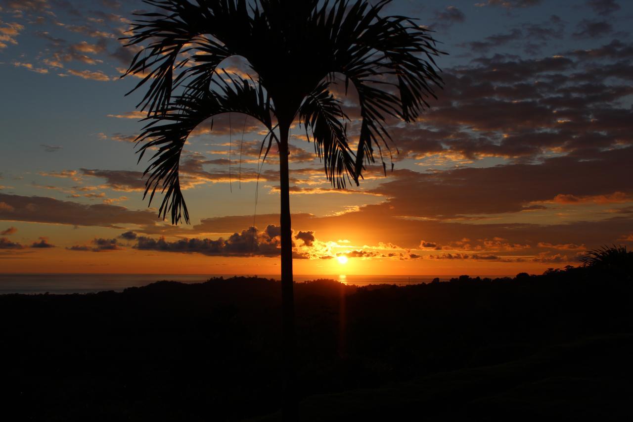 Vista 4* Ojochal