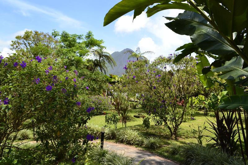 Montana De Fuego Mountain & 4*