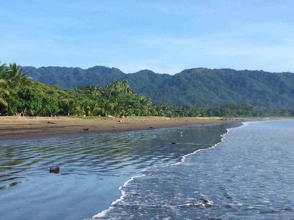 Rising Sun * Tambor (Puntarenas)