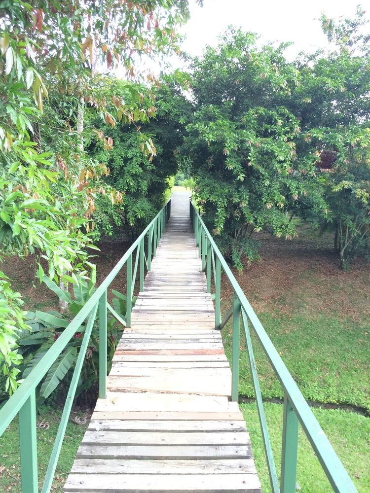 Lodge Arenal *
