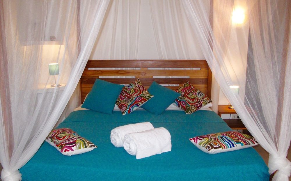 Guest house Casa Mapache 3*
