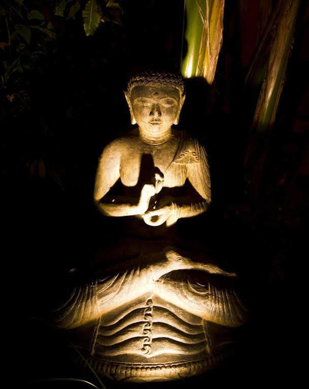 Buddha House Boutique * Jaco
