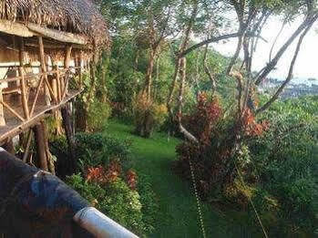 Bed & Breakfast Treetops 2*
