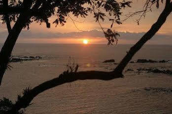 Bed & Breakfast Treetops 2*