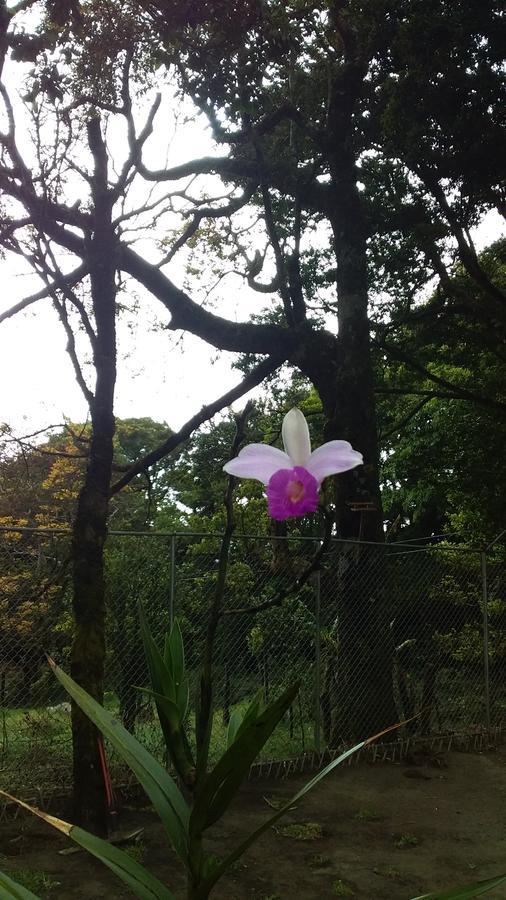 Nature House * Monteverde