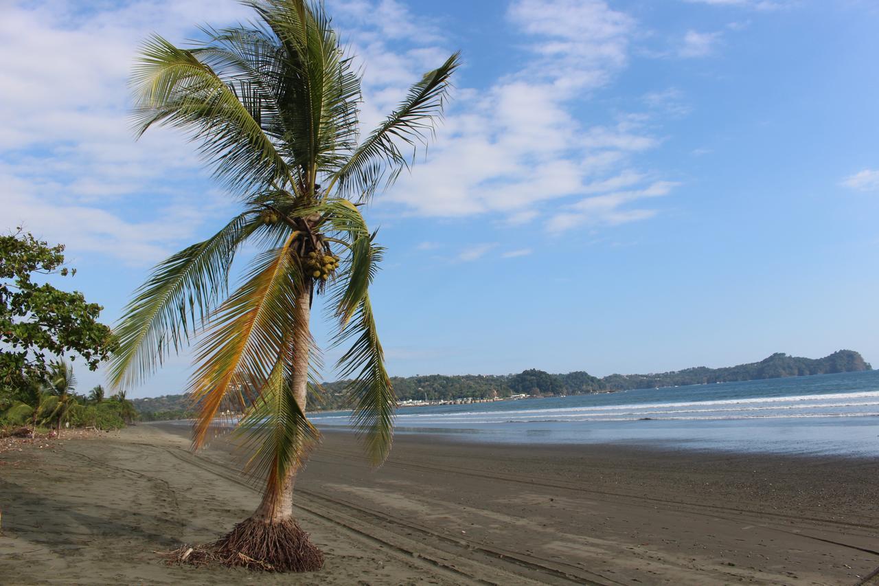 Campsite Miguel Surf Camp *