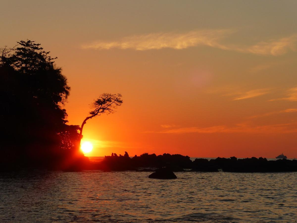 The Sunset Tucano