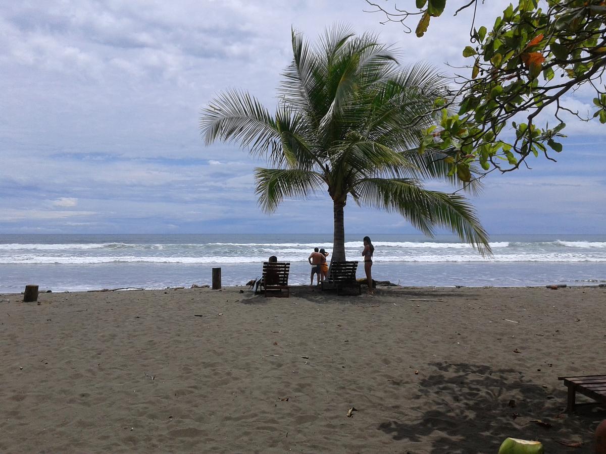 Dos Palmas Beach Front Bed & Breakfast