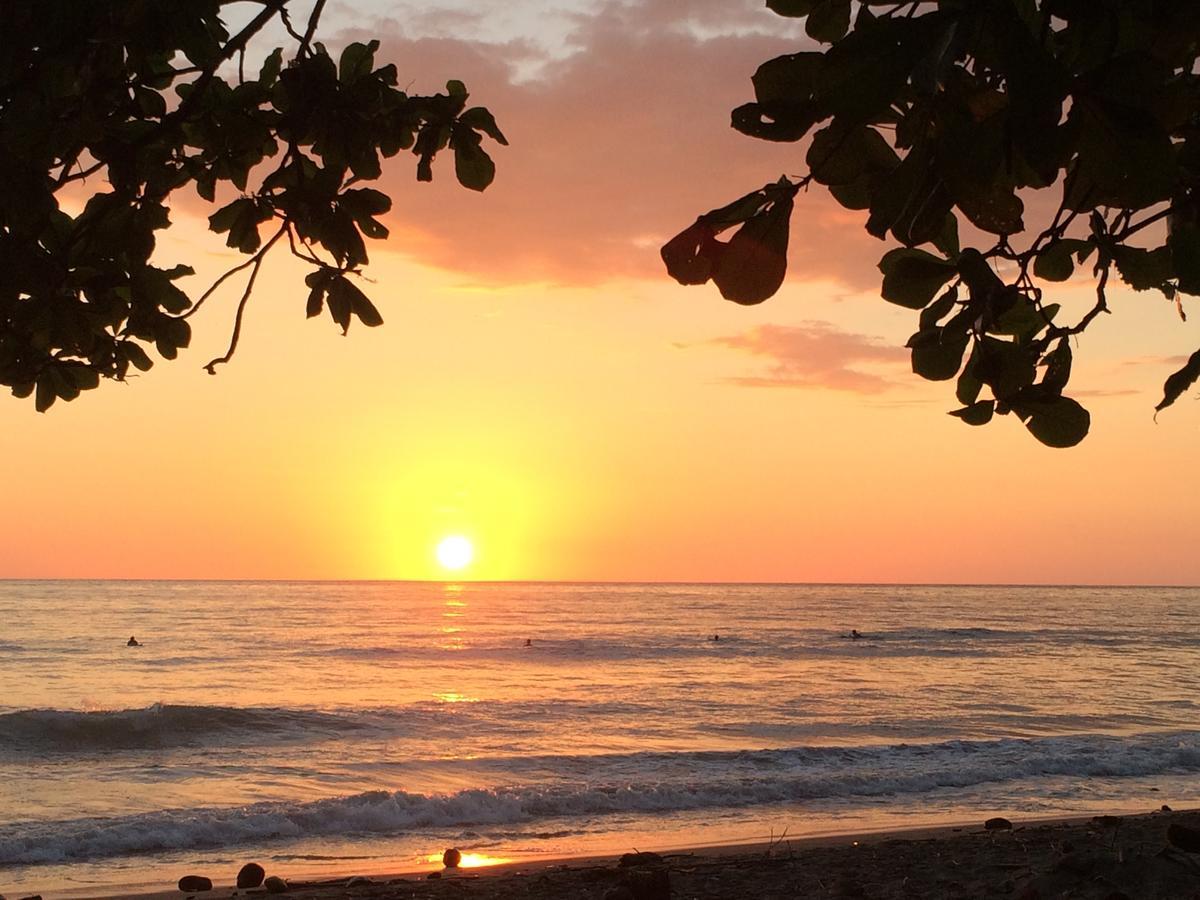 Dos Palmas Beach Front Bed & Breakfast