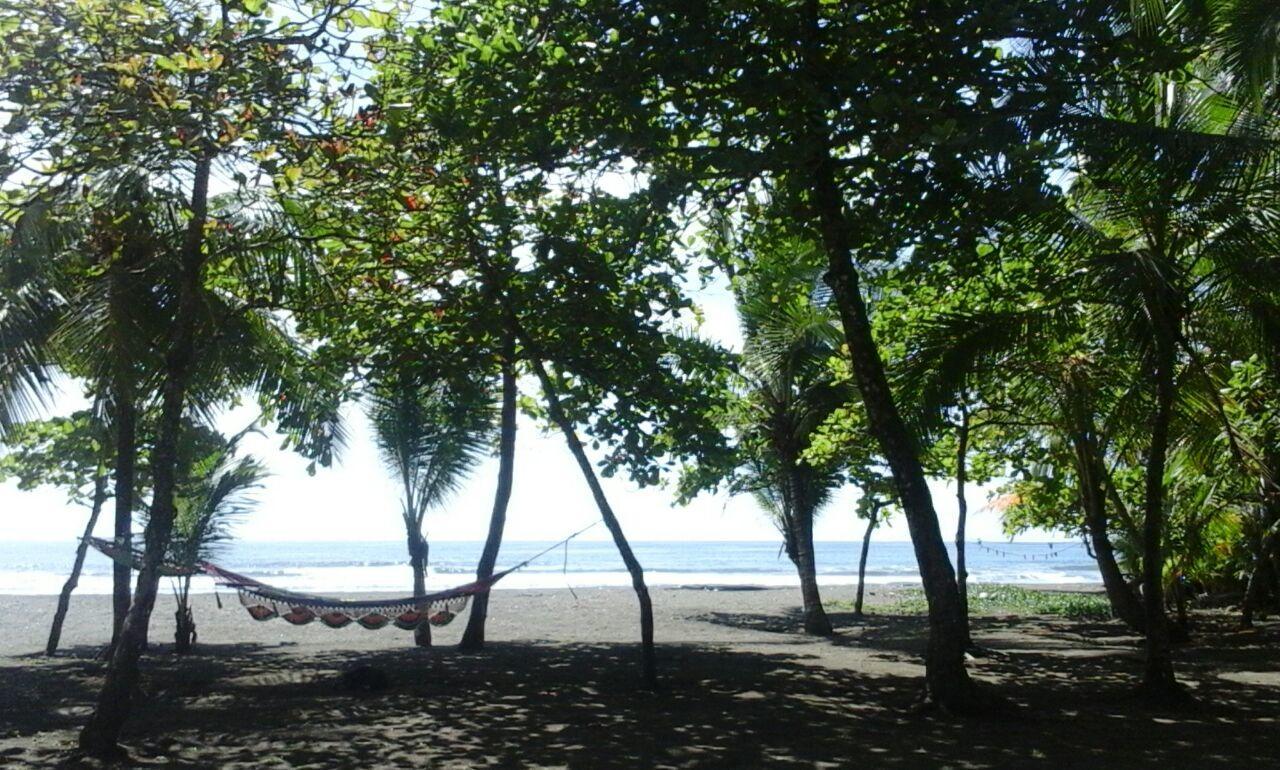 Dos Palmas Beach Front * Matapalo (Puntarenas)