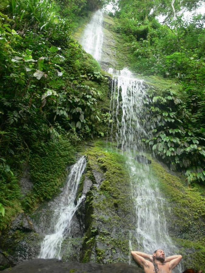 Piramys And Tours In Hostel Dominical