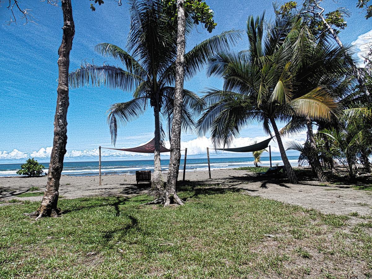 Dos Palmas Beach Front Bed & Breakfast
