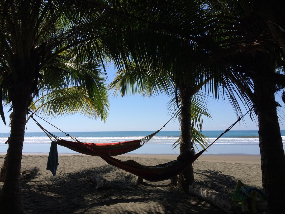 Dos Palmas Beach Front *