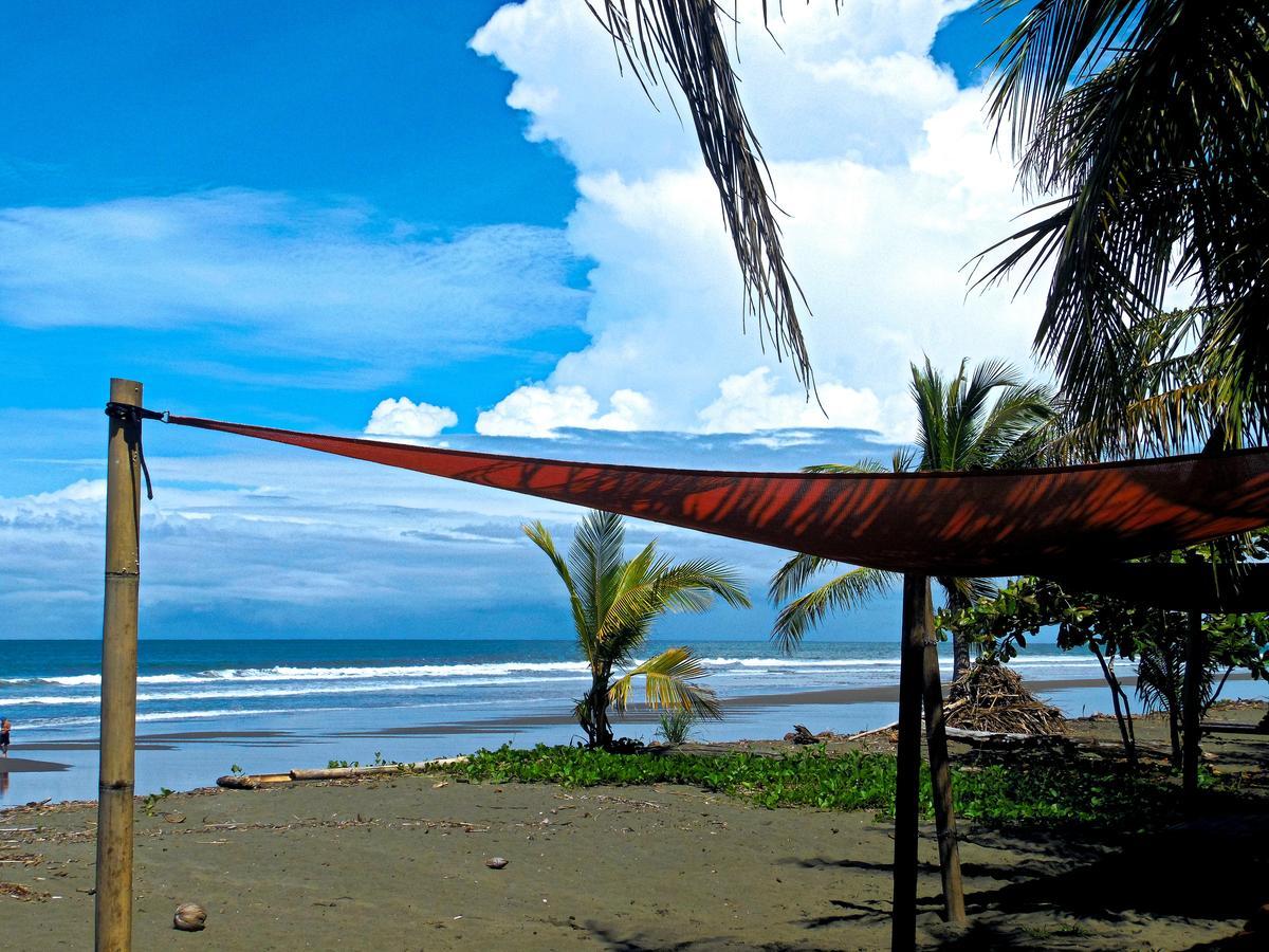 Bed & Breakfast Dos Palmas Beach Front