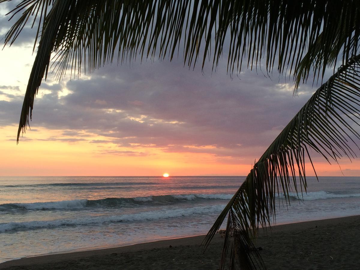 Dos Palmas Beach Front Bed & Breakfast